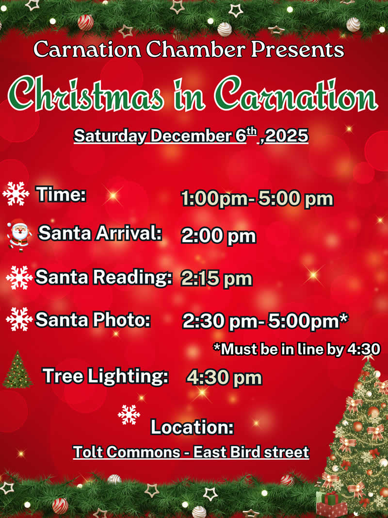 christmasincarnation2025